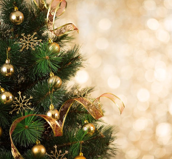 Merry Christmas and A Happy New Year